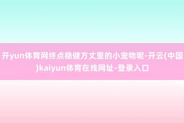 开yun体育网终点稳健方丈里的小宠物呢-开云(中国)kaiyun体育在线网址-登录入口