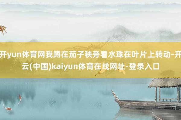 开yun体育网我蹲在茄子秧旁看水珠在叶片上转动-开云(中国)kaiyun体育在线网址-登录入口