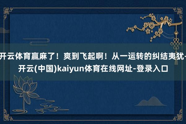 开云体育赢麻了！爽到飞起啊！从一运转的纠结夷犹-开云(中国)kaiyun体育在线网址-登录入口