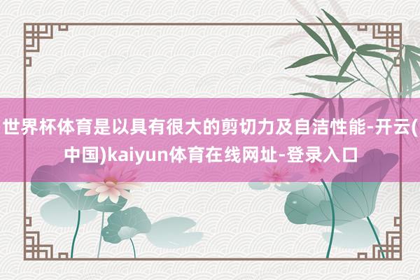 世界杯体育是以具有很大的剪切力及自洁性能-开云(中国)kaiyun体育在线网址-登录入口