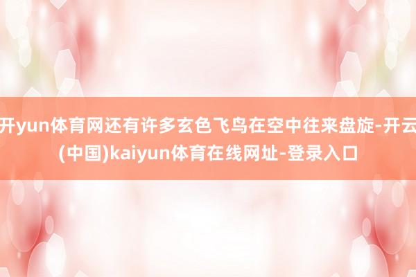 开yun体育网还有许多玄色飞鸟在空中往来盘旋-开云(中国)kaiyun体育在线网址-登录入口