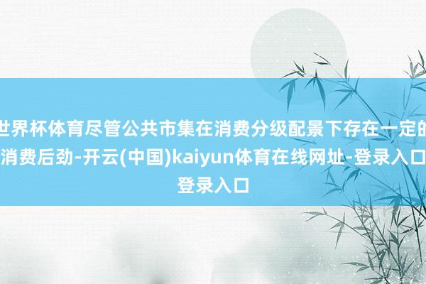 世界杯体育尽管公共市集在消费分级配景下存在一定的消费后劲-开云(中国)kaiyun体育在线网址-登录入口